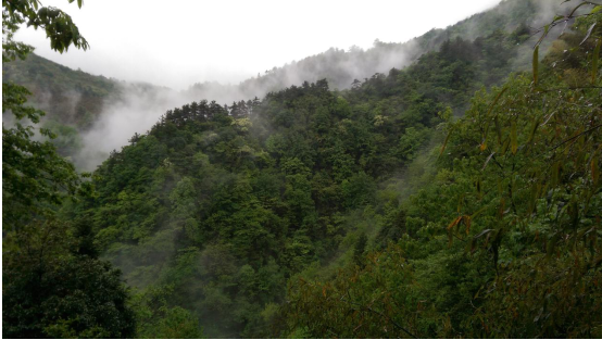 尊龙在线登录(中国)人生就是博官网