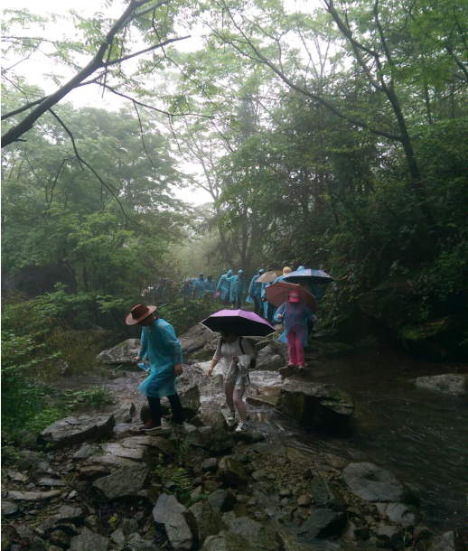 尊龙在线登录(中国)人生就是博官网