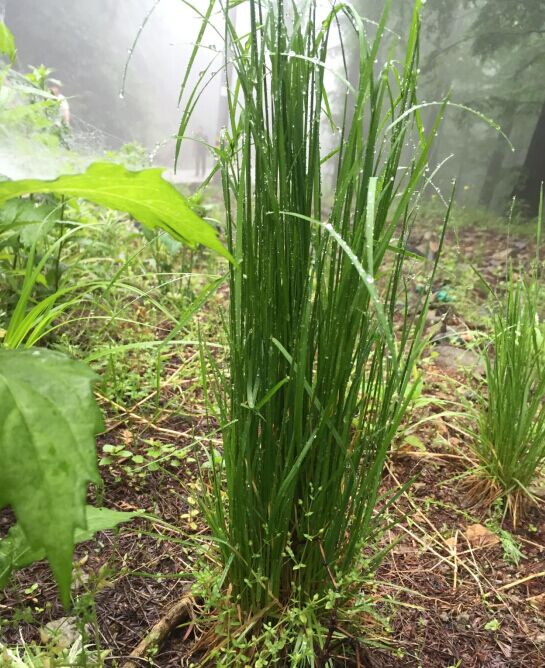 尊龙在线登录(中国)人生就是博官网